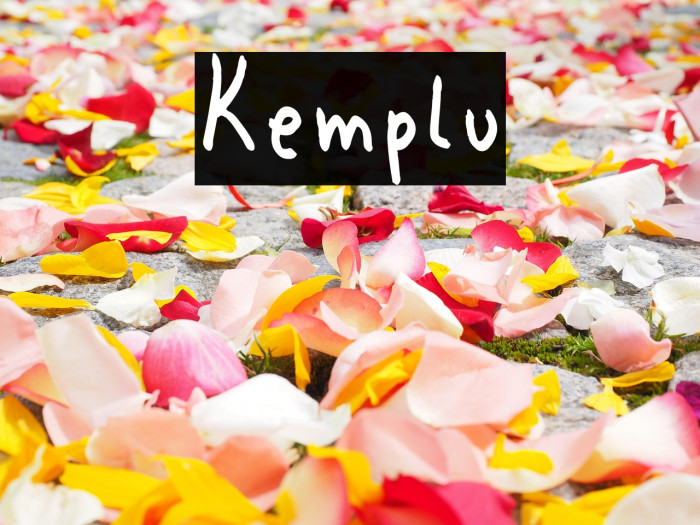 Kemplu Example 3