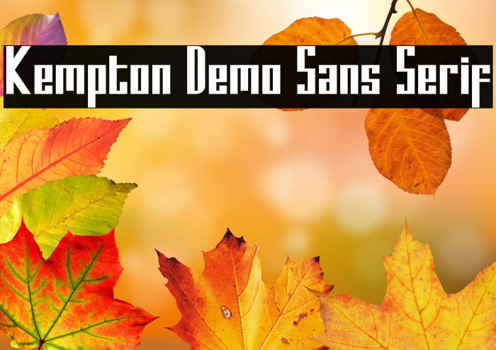 Kempton Demo Sans Serif Example 2