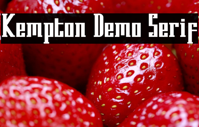 Kempton Demo Serif Example 1