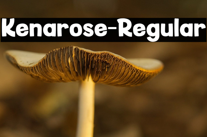 Kenarose-Regular Example 1