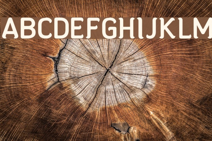 Kendal Type Font examples
