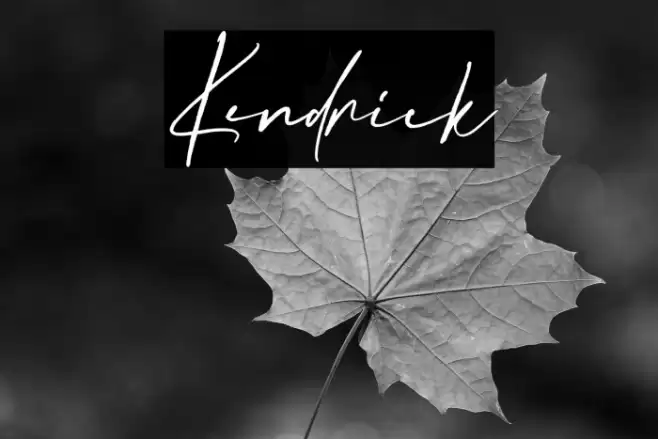 Kendrick Font examples