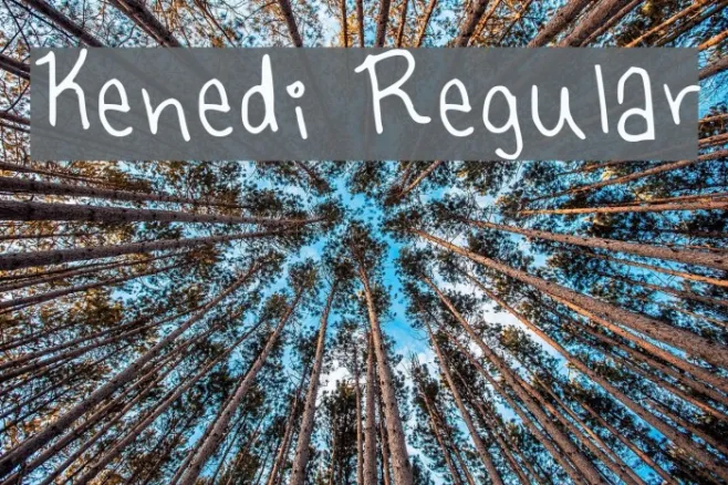 Kenedi Regular Example 3