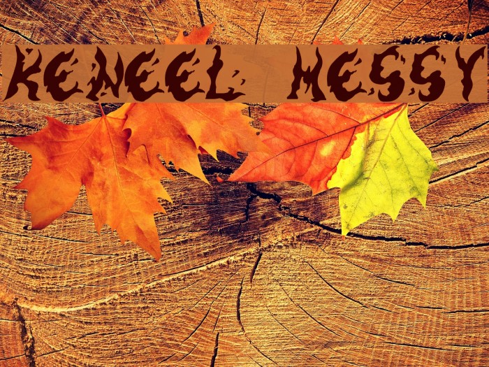 Keneel Messy Font examples