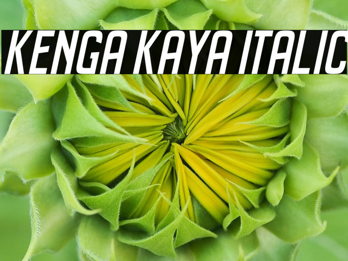 Kenga Kaya Italic Example 1