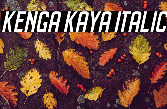 Kenga Kaya Italic Example 2