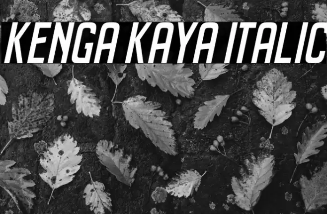 Kenga Kaya Italic Font examples
