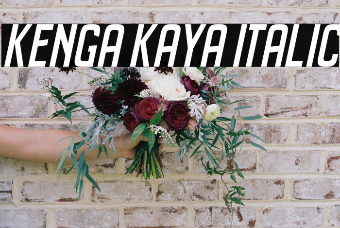 Kenga Kaya Italic Example 3