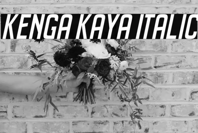 Kenga Kaya Italic Font examples