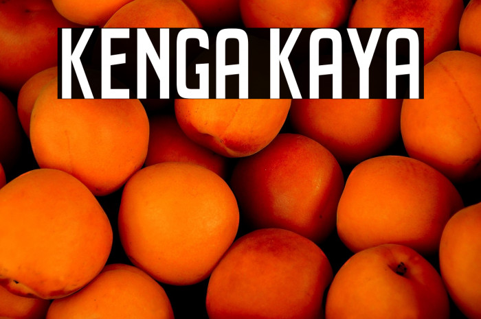 Kenga Kaya Example 1