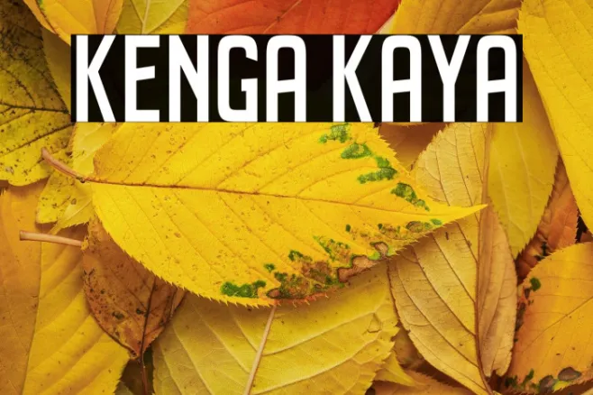 Kenga Kaya Example 2