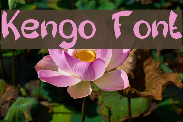 Kengo Font examples