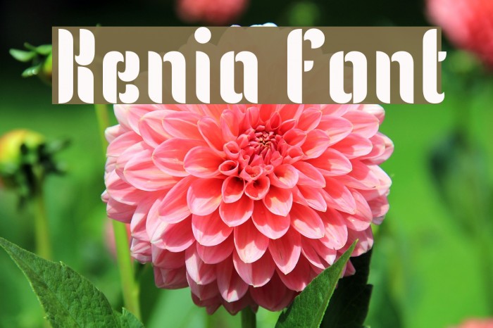 Kenia Fonte examples