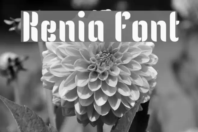 Kenia Fonte examples