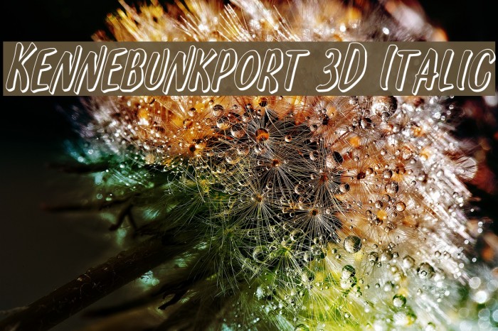 Kennebunkport 3D Italic Font examples