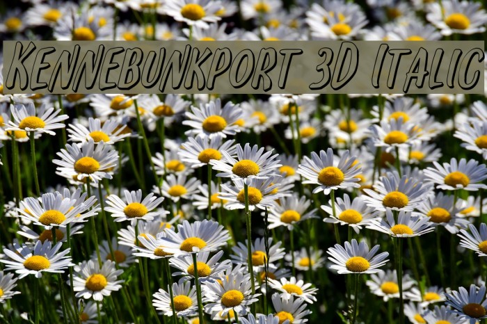Kennebunkport 3D Italic Font examples