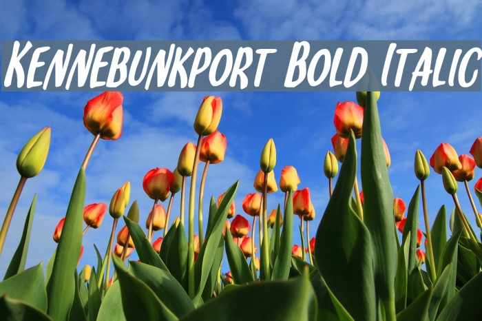 Kennebunkport Bold Italic Font examples