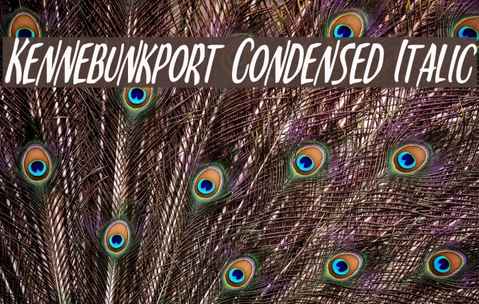 Kennebunkport Condensed Italic Font examples