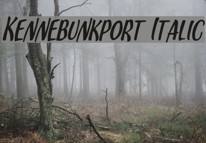 Kennebunkport Italic Font examples