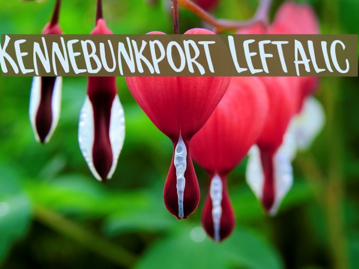 Kennebunkport Leftalic Font examples