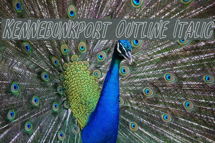 Kennebunkport Outline Italic Font examples