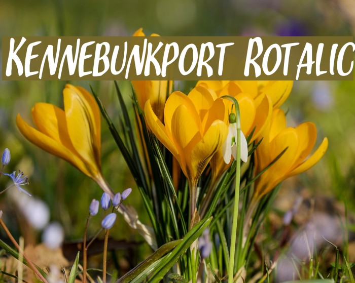 Kennebunkport Rotalic Font examples