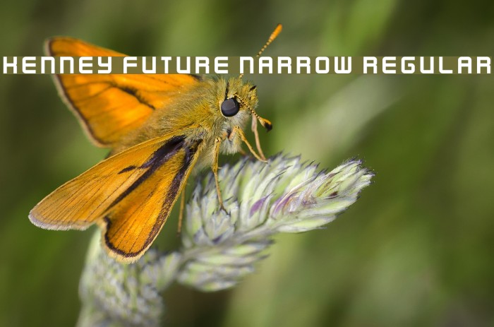 Kenney Future Narrow Regular Font examples