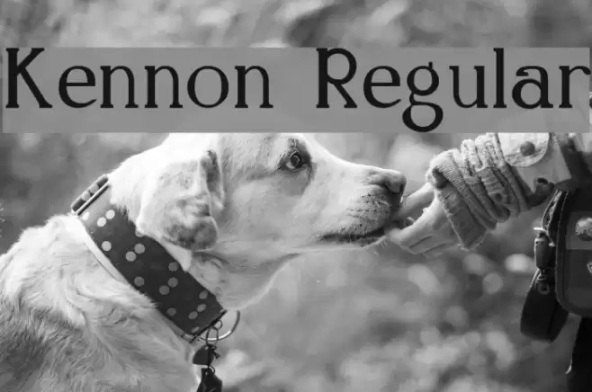 Kennon Regular Font examples