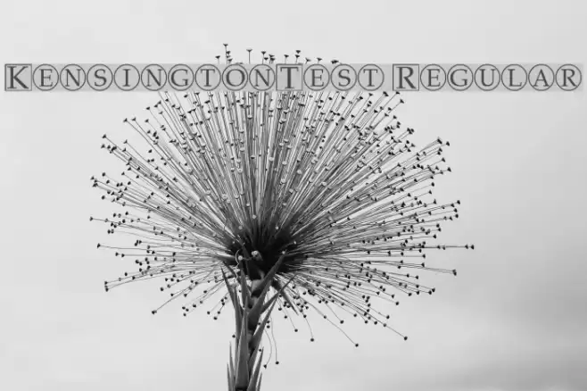 KensingtonTest Regular Font examples