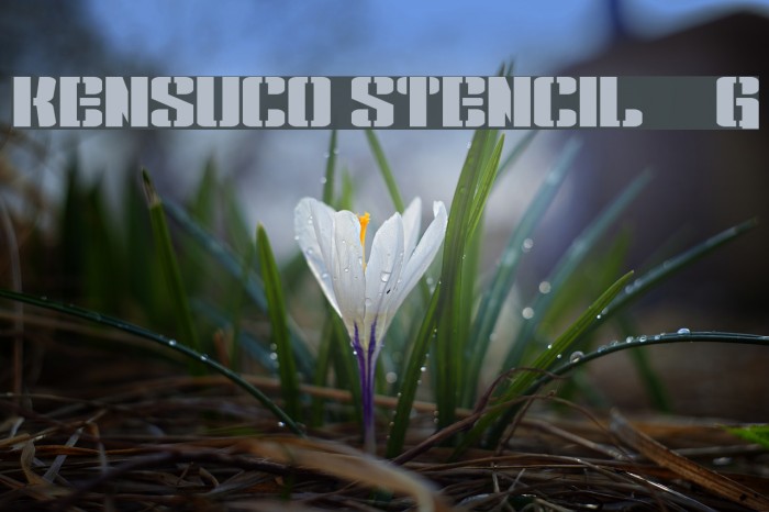 Kensuco Stencil__G Шрифта examples