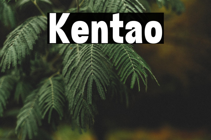 Kentalo Example 1
