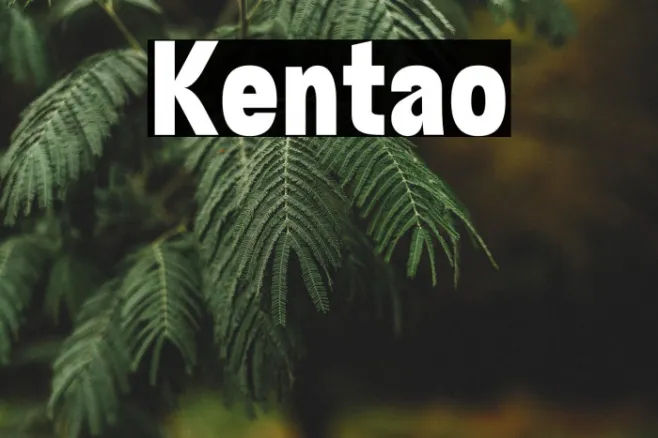 Kentalo Example 1