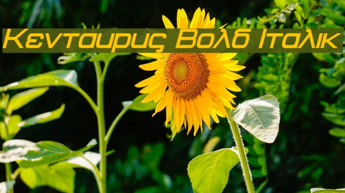 Kentaurus Bold Italic Example 1