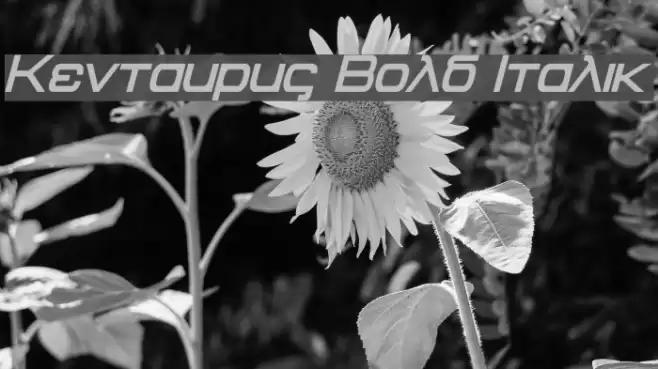 Kentaurus Bold Italic Font examples