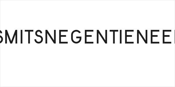 KentekenSmitsNegentienEenenvijftig Logo