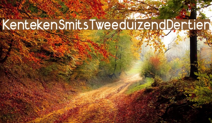 KentekenSmitsTweeduizendDertien Font examples