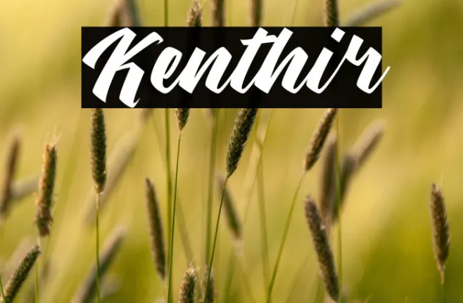 Kenthir Example 1