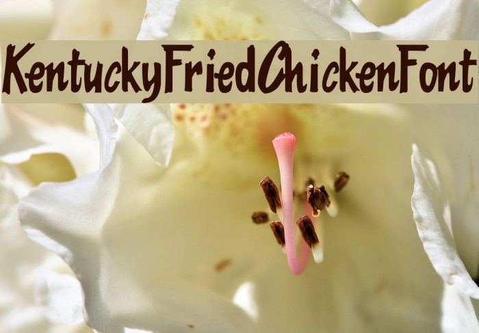 KentuckyFriedChickenFont Font examples