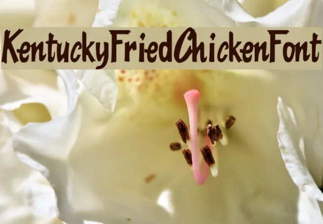 KentuckyFriedChickenFont Example 2