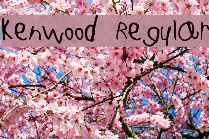 Kenwood Regular Font examples