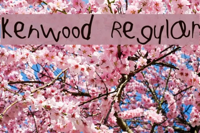 Kenwood Regular Example 2
