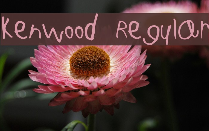 Kenwood Regular Font examples