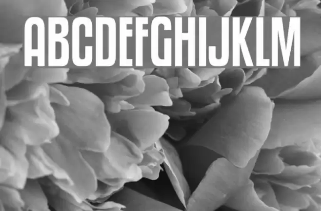 Kenyan Coffee Font examples