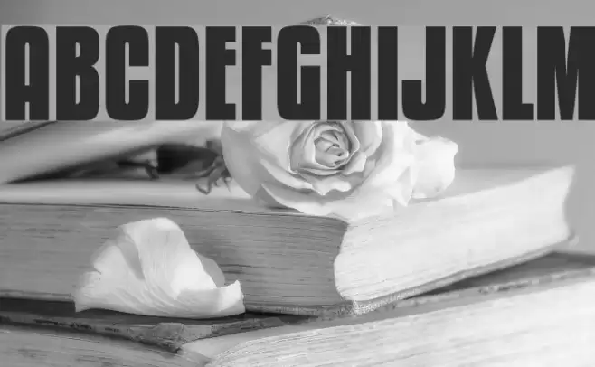 KenyanCoffee-Bold Font examples