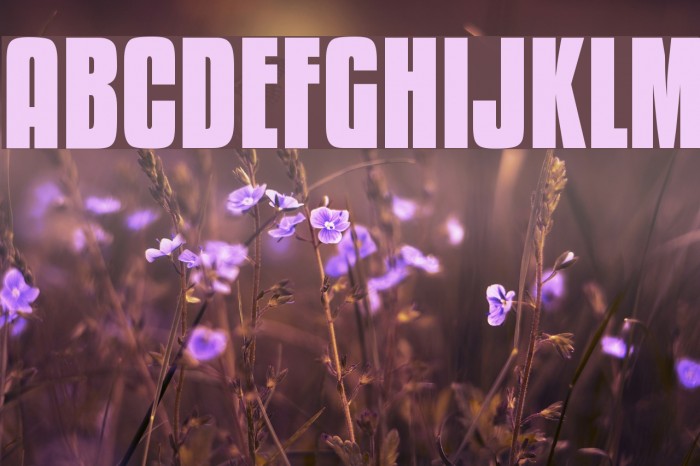 KenyanCoffee-Bold Font examples