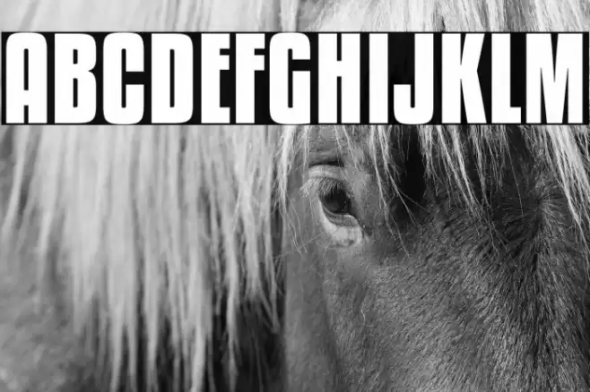 KenyanCoffeeRg-Bold Font examples