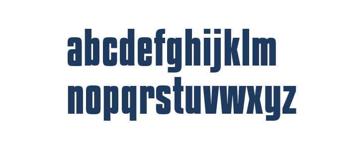 KenyanCoffeeRg-Bold Lowercase