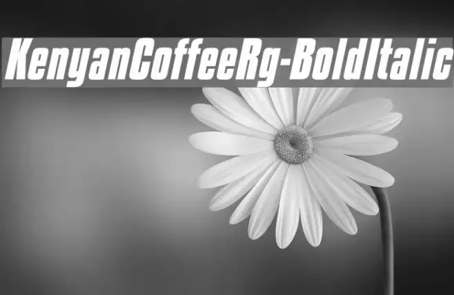 KenyanCoffeeRg-BoldItalic Font examples