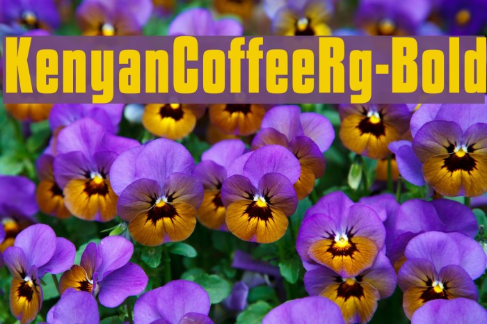 KenyanCoffeeRg-Bold Font examples