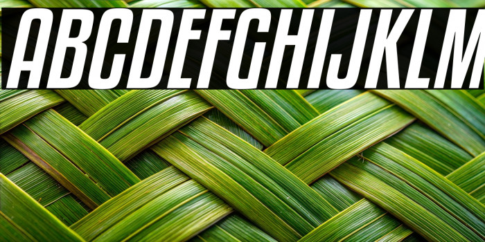 KenyanCoffeeRg-Italic Example 1